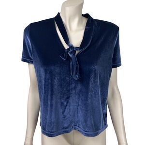 Madewell Blue Velvet Necktie‎ Top